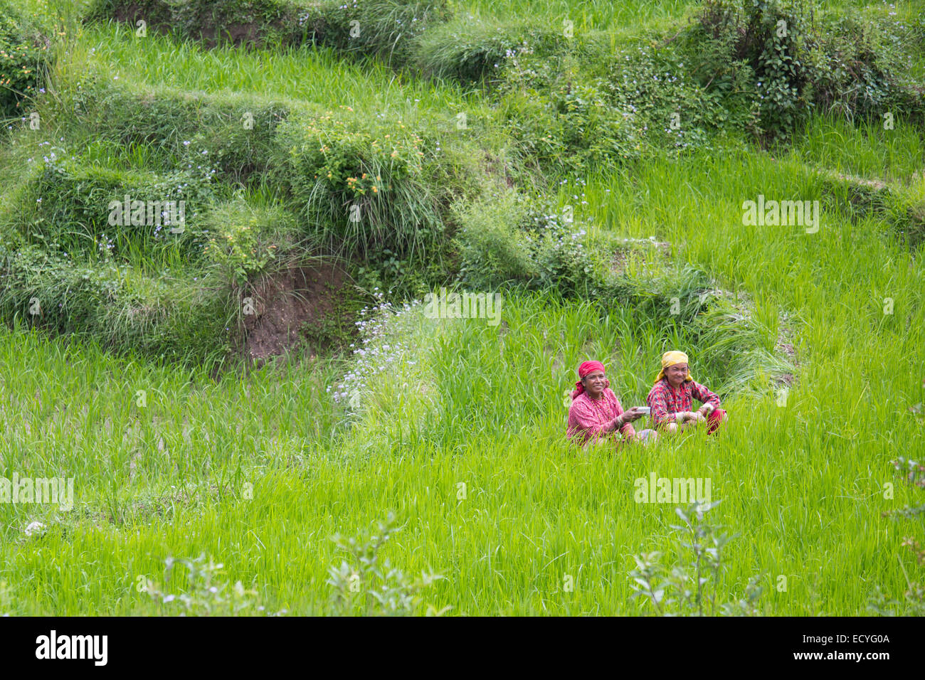 Coltivatori di riso prendendo una pausa a Kathmandu in Nepal Foto Stock