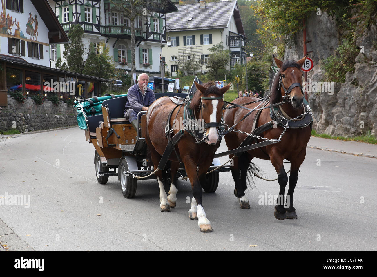 Carrozza a cavallo cavalcare il castello di Neuschwanstein up hill Germania Foto Stock