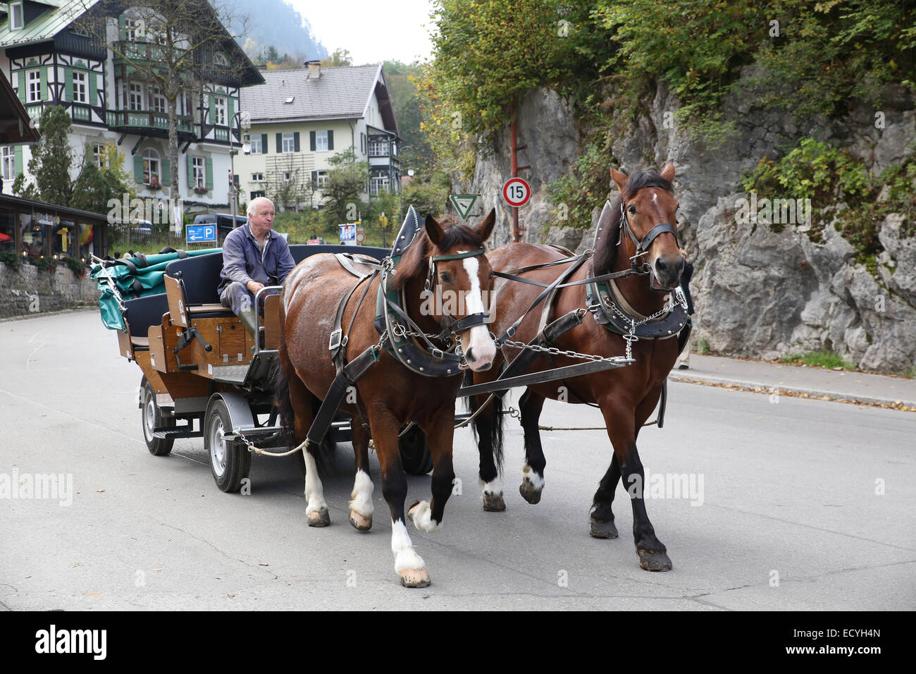 Il Castello di Neuschwanstein cavallo carrozza Germania Foto Stock