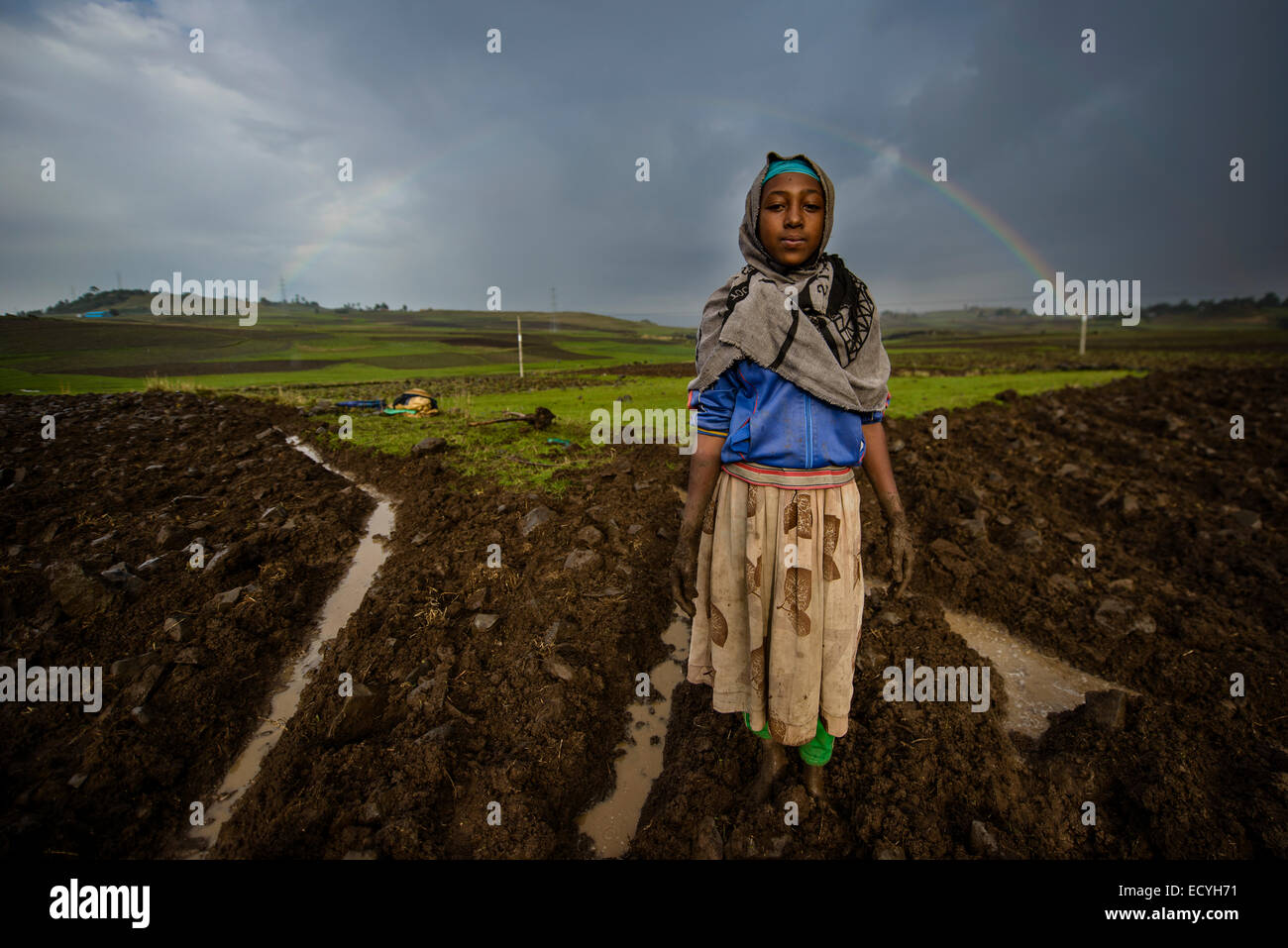 Gli agricoltori etiope, Debre Birhan, Etiopia Foto Stock