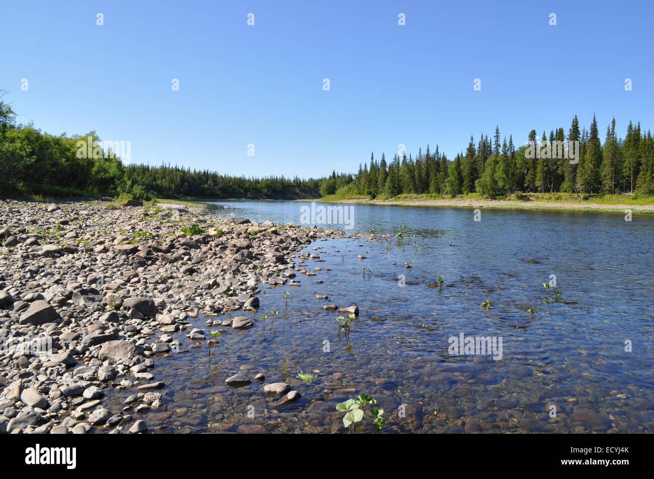 Il fiume di ghiaia negli Urali. Il canale a nord del fiume sotto il sole. Foto Stock