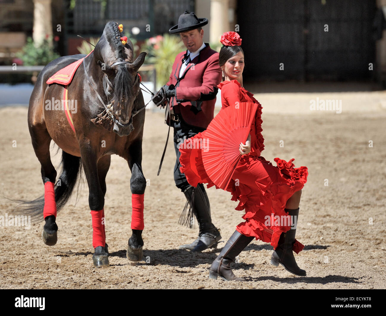 Spettacolo equestre a Scuderie Reali (Caballerizas Reales), Cordoba, Spagna Foto Stock
