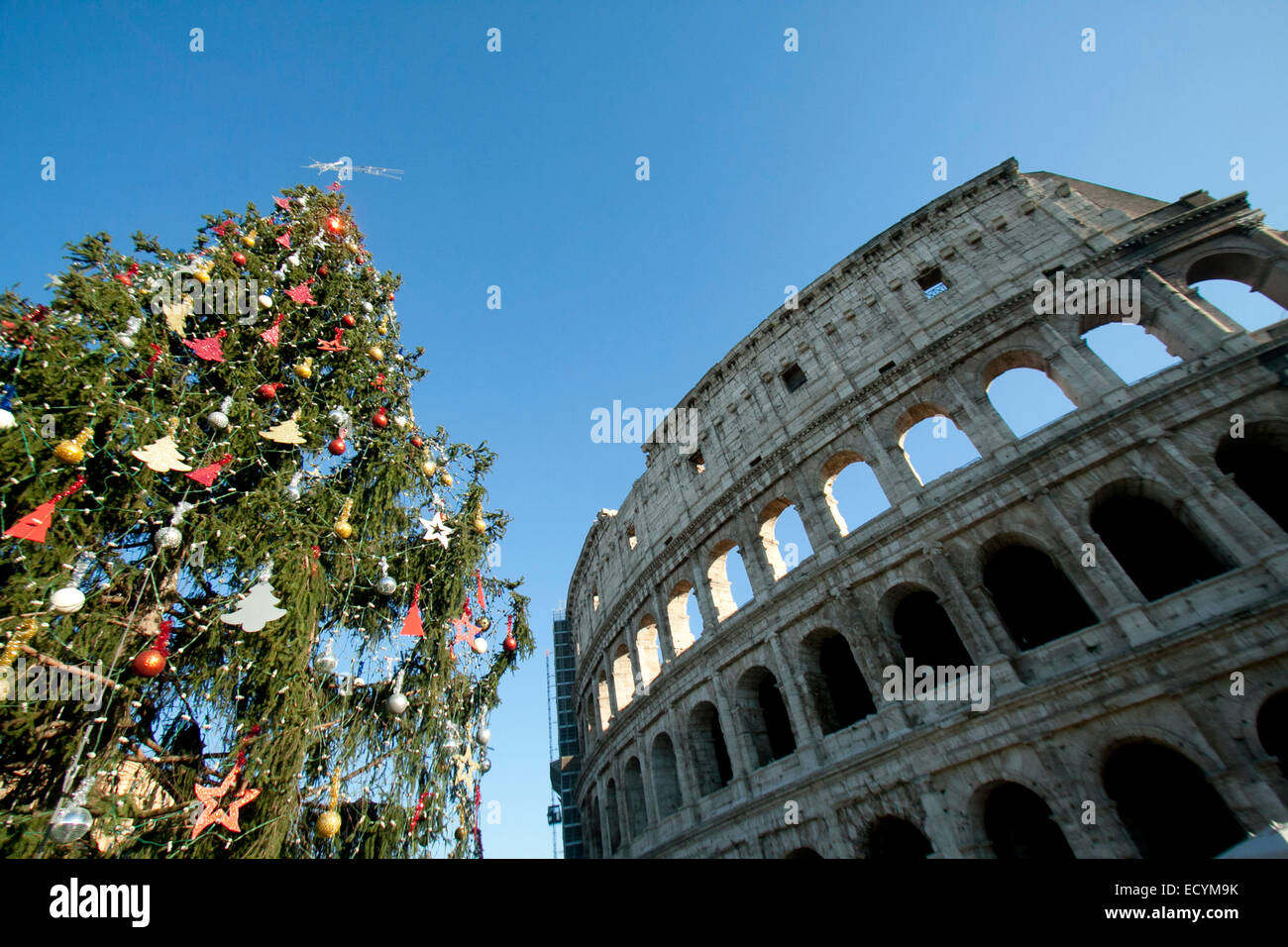 Roma Italia. 22 dic 2014. Roma Colosseo con stagione decorate albero di Natale. Credito: amer ghazzal/Alamy Live News Foto Stock