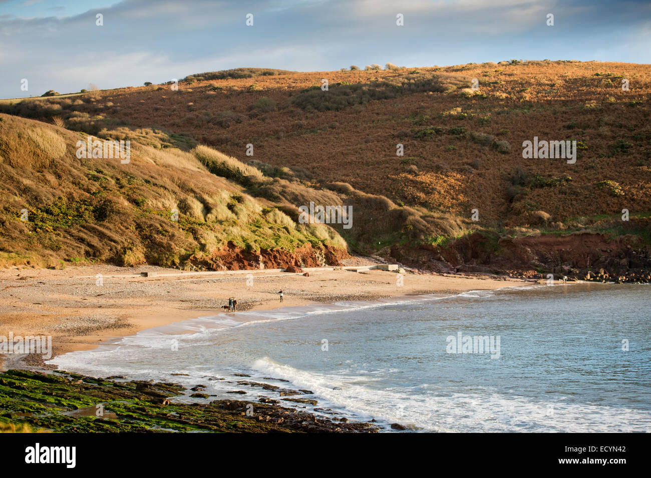 Manorbier Bay su Il Pembrokeshire Coast, South Wales UK Foto Stock