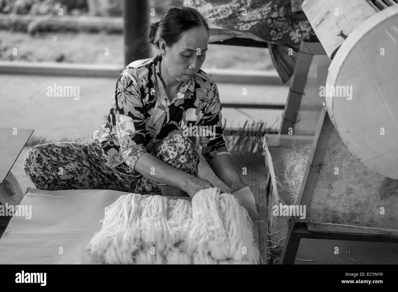 Donna vietnamita di imballaggio spaghetti di riso nella piccola fabbrica di casa che la sua famiglia corre rendendo la carta di riso e le tagliatelle nel Delta del Mekong del Vietnam. Foto Stock