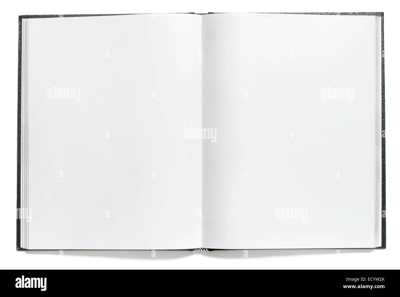 aprire un diario vuoto fotografato su uno sfondo bianco Foto Stock