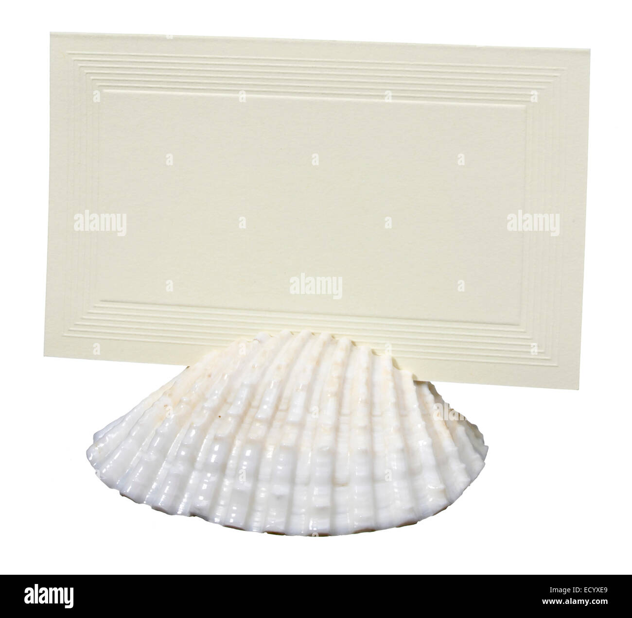 porta cartolina shell place fotografata su sfondo bianco Foto Stock