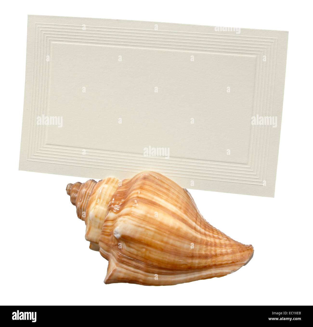 porta cartolina shell place fotografata su sfondo bianco Foto Stock