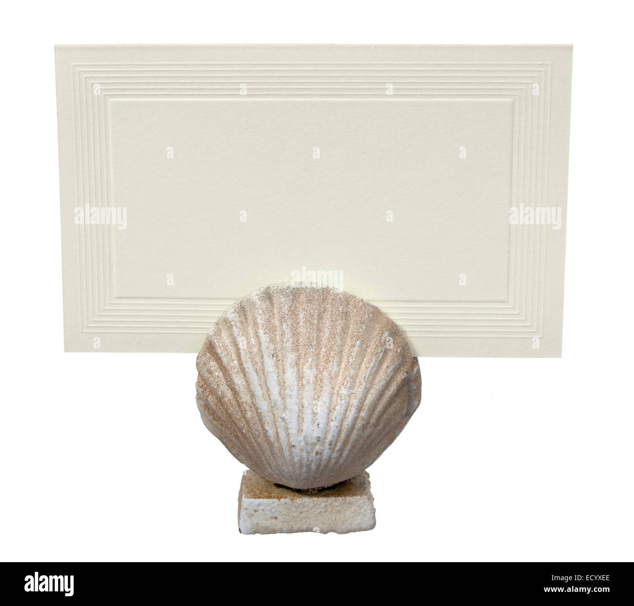 porta cartolina shell place fotografata su sfondo bianco Foto Stock