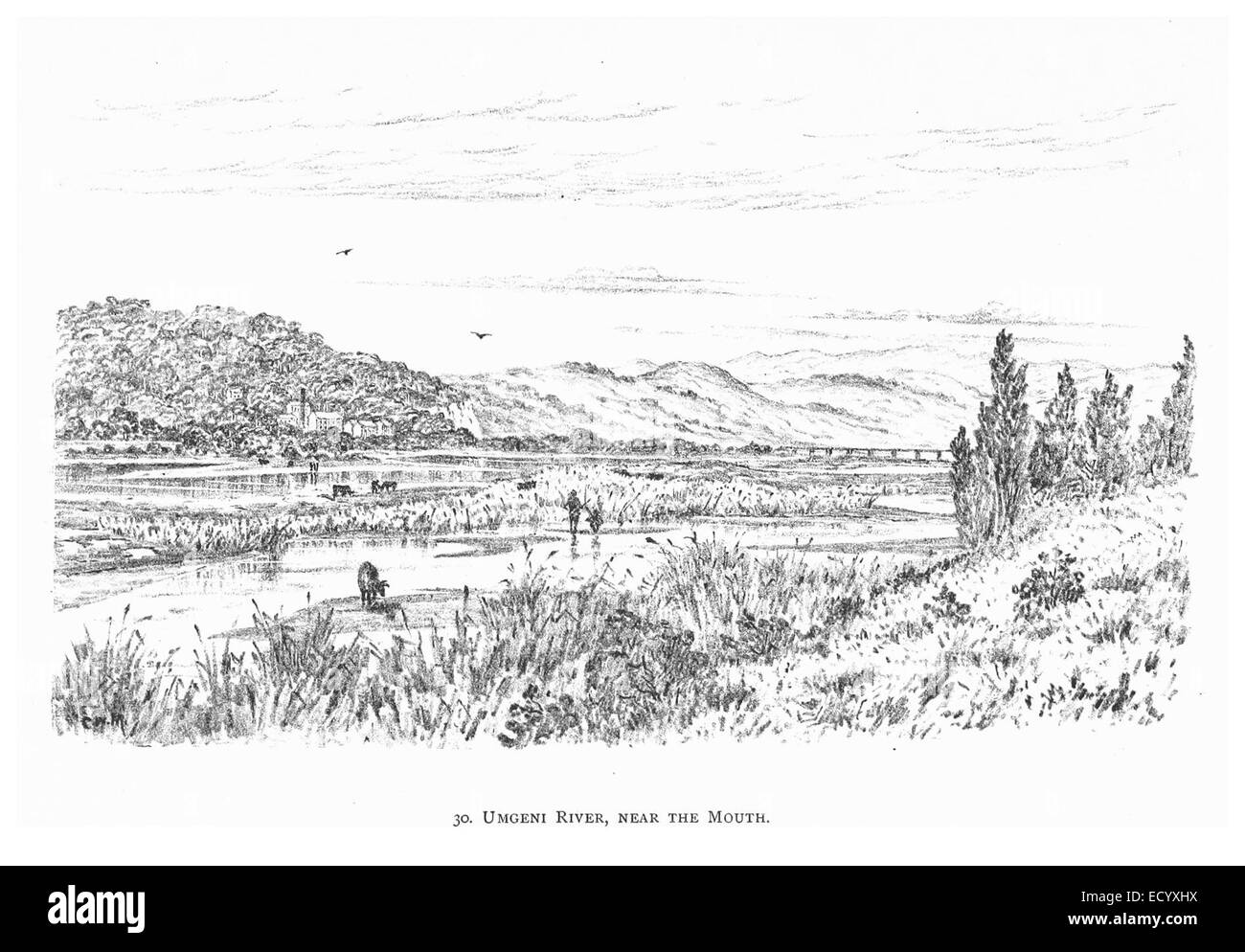 DURBAN (1891)129 fiume Umgeni, vicino alla bocca Foto Stock