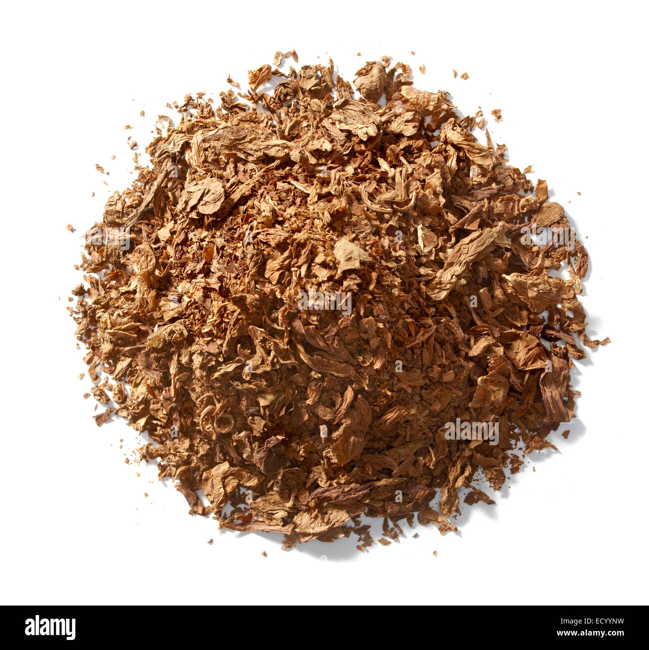 Pila di tabacco fotografato su sfondo bianco Foto Stock