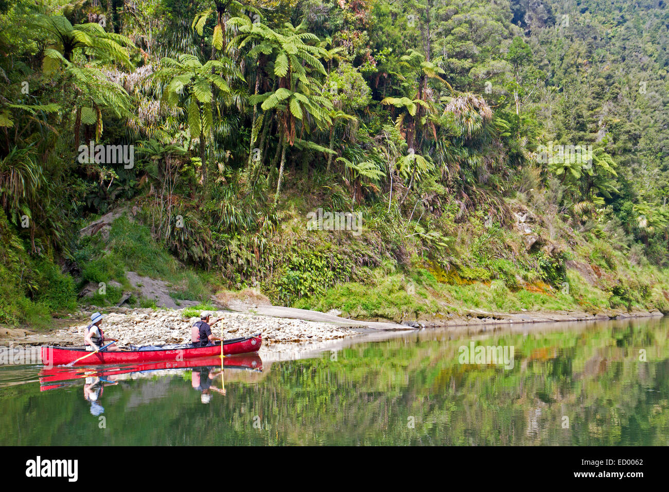 In canoa sul viaggio Whanganui, uno della Nuova Zelanda elencati grande passeggiate lungo il fiume Whanganui Foto Stock