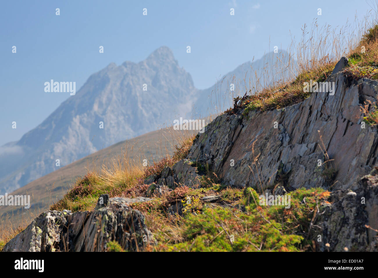 Col d'Aubisque, Pirenei paesaggio di montagna Foto Stock