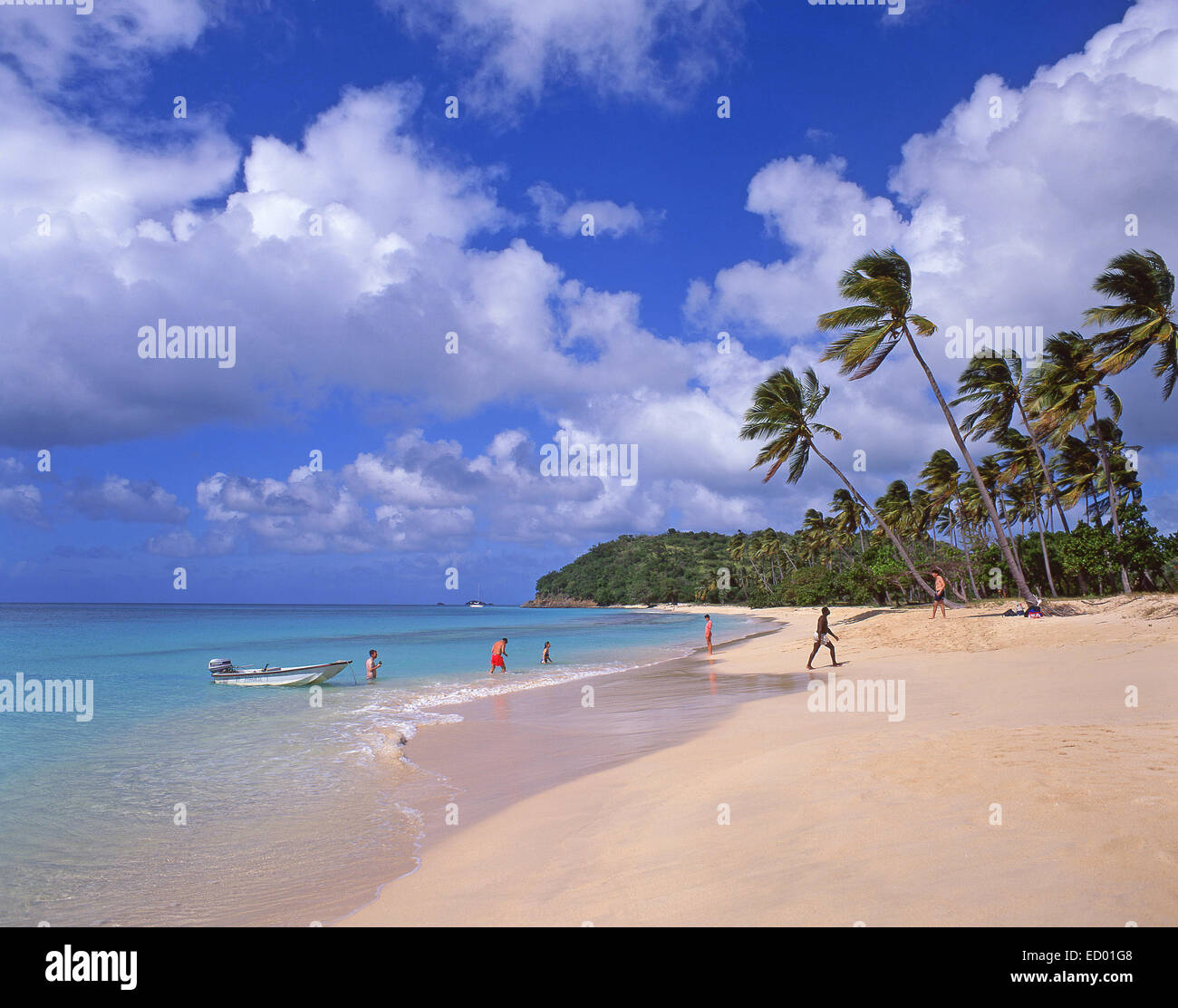 Spiaggia di legno scuro, Saint Mary's Parish, Antigua Antigua e Barbuda, Piccole Antille, dei Caraibi Foto Stock