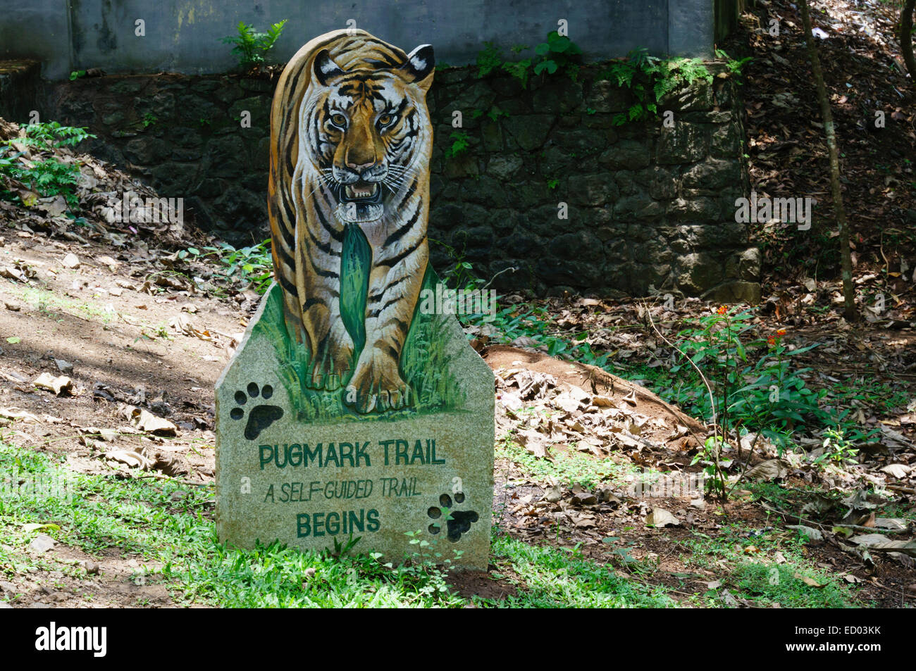 Il Kerala, India - del Periyar Riserva della Tigre natura parl a Thekkady. Foto Stock