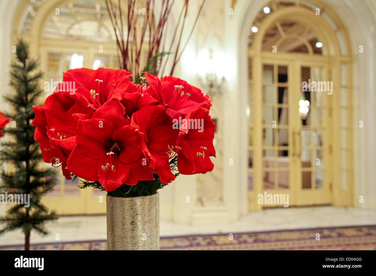 Fiori di colore rosso nella lobby del Fairmont Copley Plaza hotel di Boston, Massachusetts Foto Stock