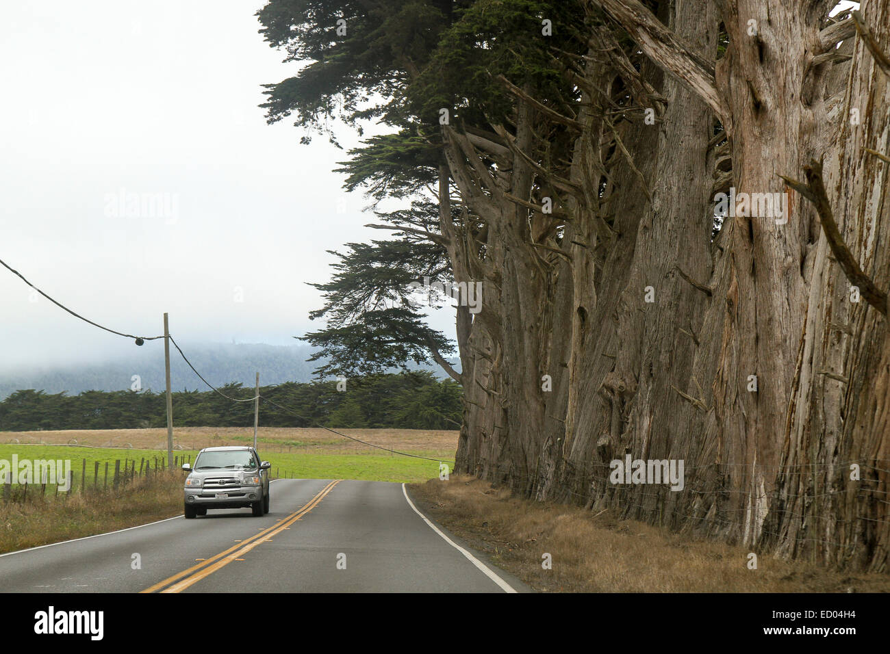Una strada a Mendocino County, California, Stati Uniti Foto Stock