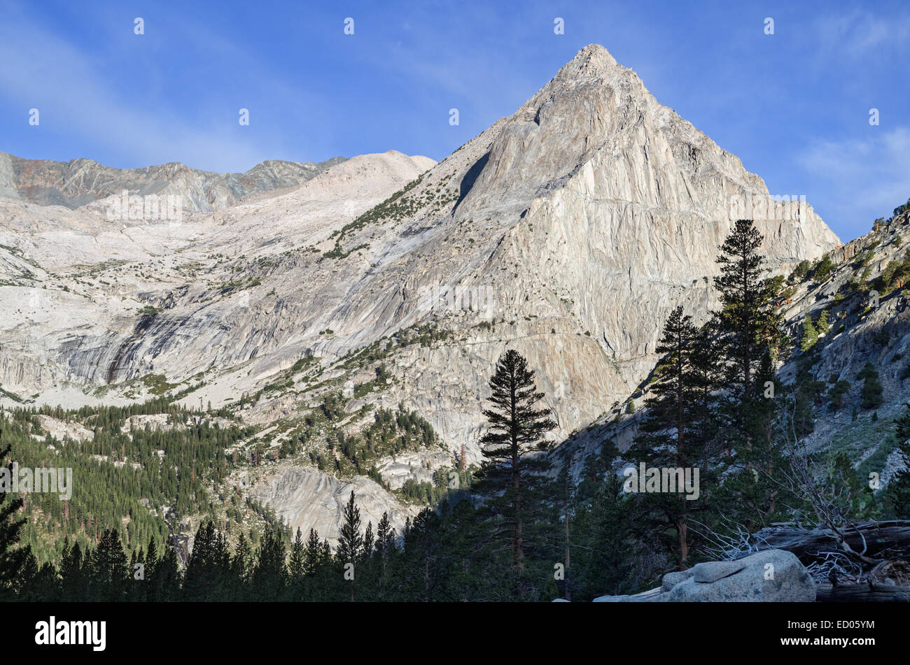 Vista su tutta lecont Canyon in Kings Canyon National Park in California verso il picco Langille Foto Stock