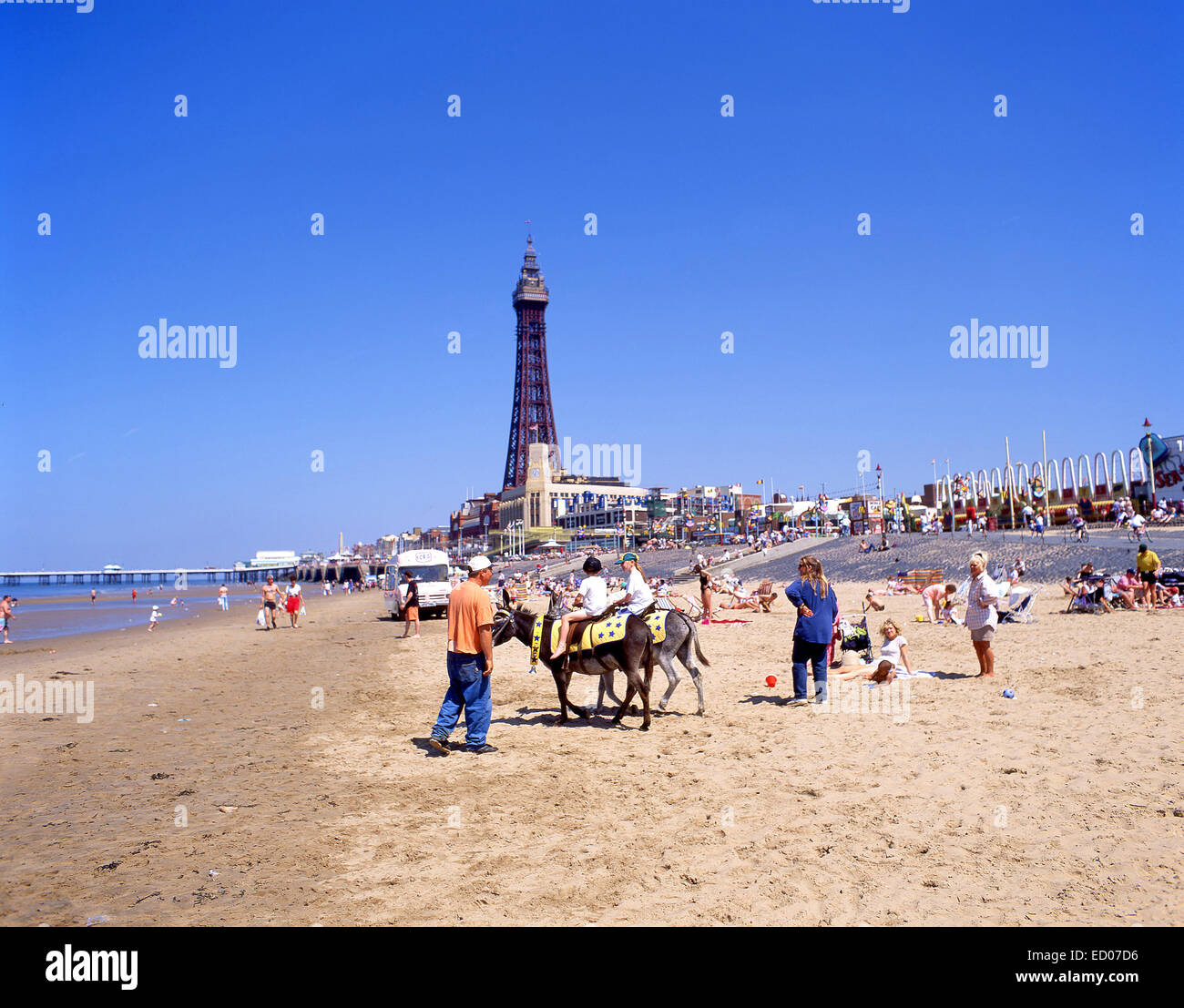 Asino corse su Blackpool Sands, Blackpool, Lancashire, Inghilterra, Regno Unito Foto Stock