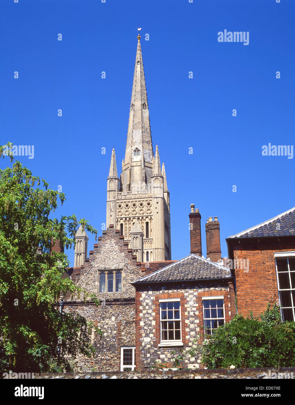 Norwich Cathedral e Norwich, Norfolk, Inghilterra, Regno Unito Foto Stock