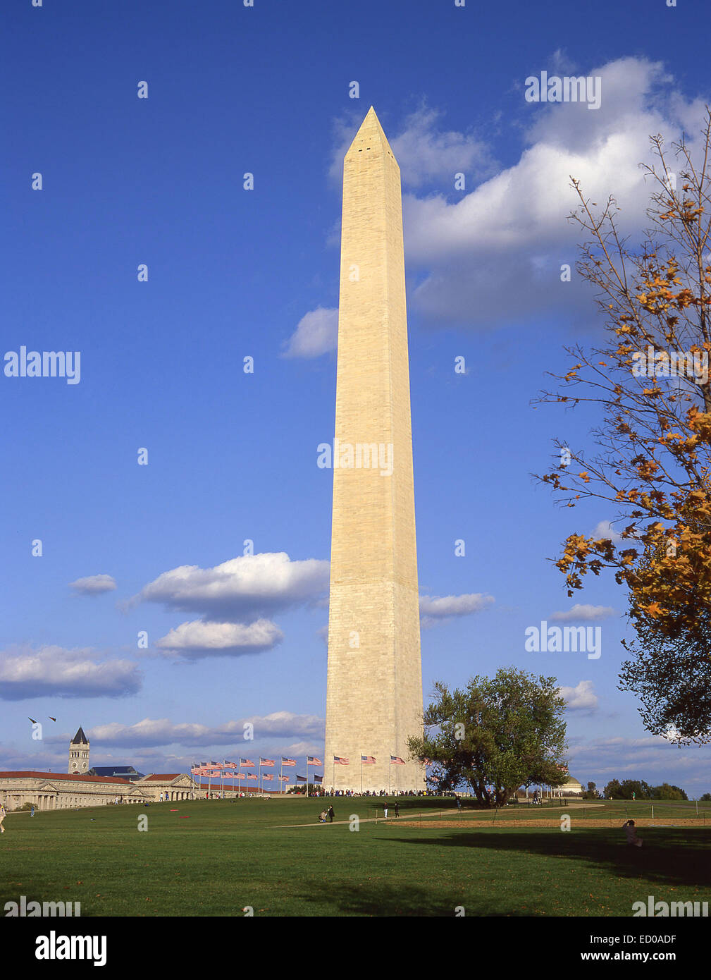 Il Washington Monument, il National Mall di Washington DC, Stati Uniti d'America Foto Stock