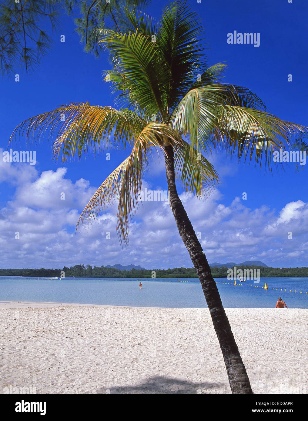 Tropical Beach, Île aux Cerfs Isola, Flacq distretto, Repubblica di Mauritius Foto Stock