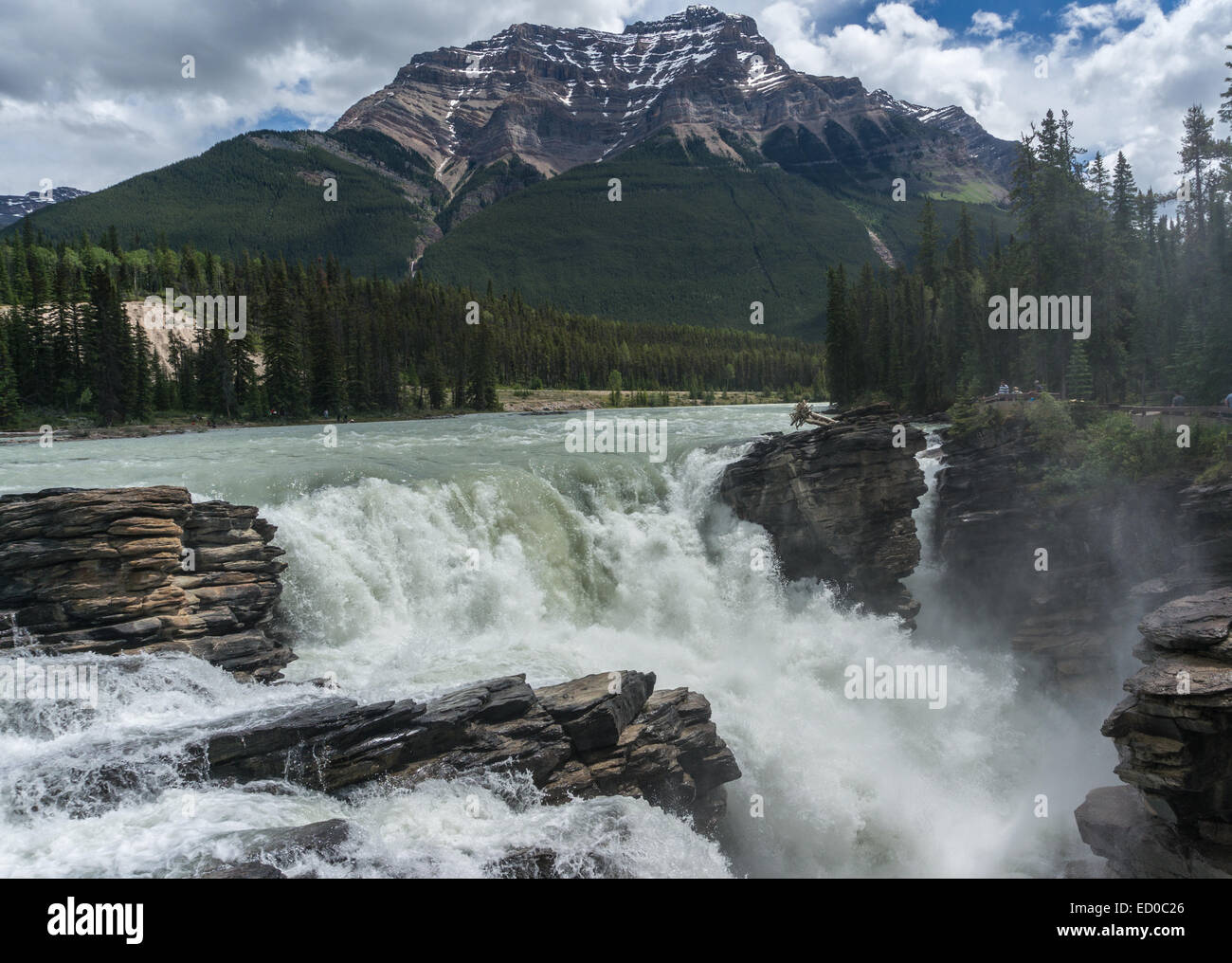 Canada, Alberta, Jasper National Park, vista delle Cascate Athabasca e Mt Kerkeslin in background Foto Stock