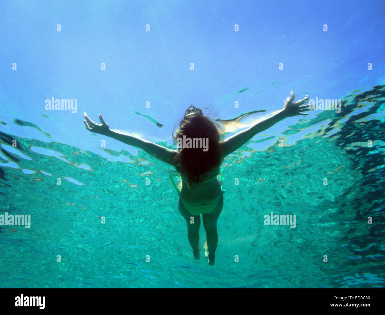 Grecia DODECANNESO Prefettura, Chalki, visione subacquea della donna galleggiante sull'acqua Foto Stock