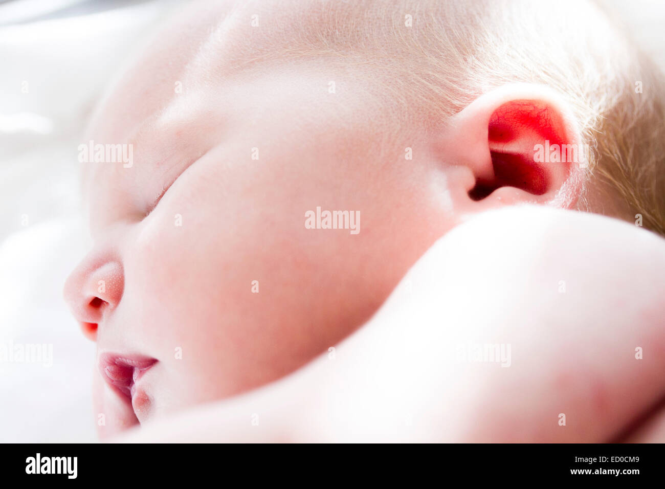 Close up del neonato sonno (0-1 mesi) ragazza Foto Stock