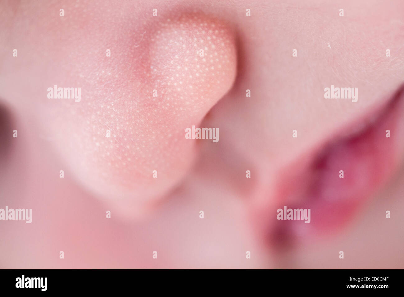 Close-up di sleeping Baby girl's (0-1 mesi) faccia Foto Stock