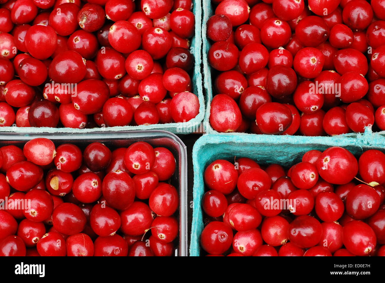 Stati Uniti d'America, Massachusetts, Boston, frutti rossi in cestelli Foto Stock