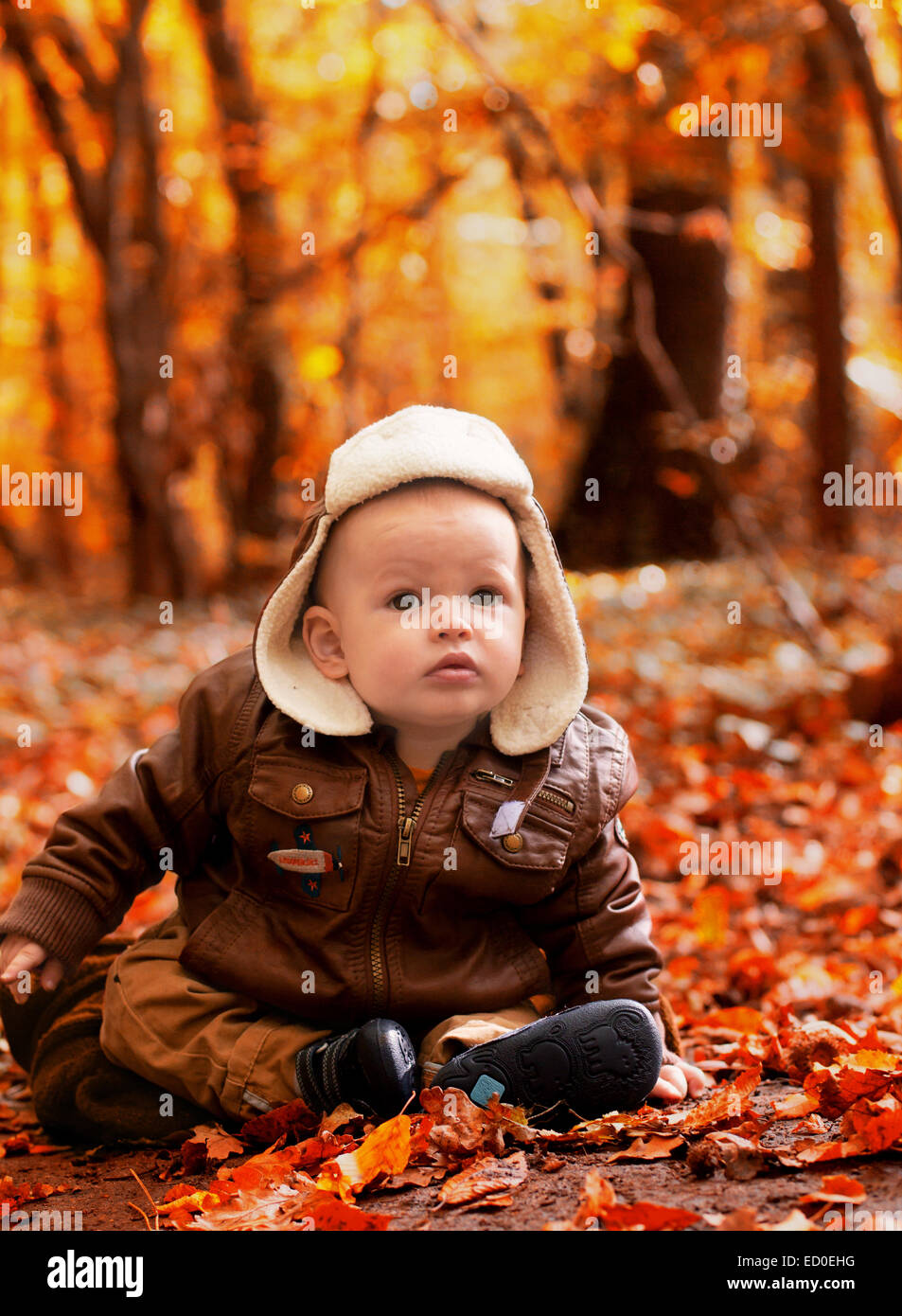 Little Boy (6-11 mesi) seduti nelle foglie in posizione di parcheggio Foto Stock