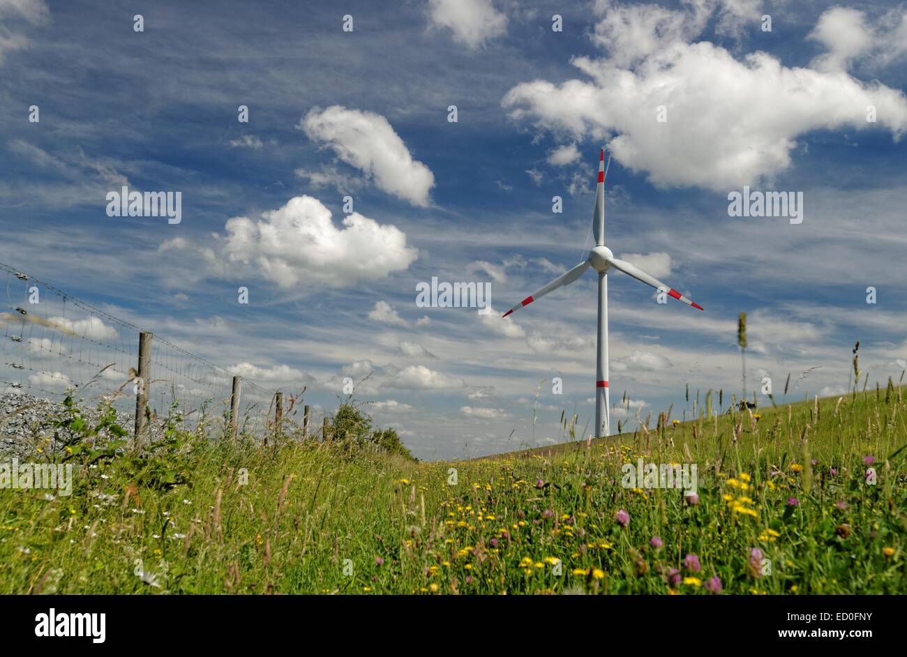 Germania, Ostfriesland, turbina eolica in prato contro il cielo nuvoloso Foto Stock