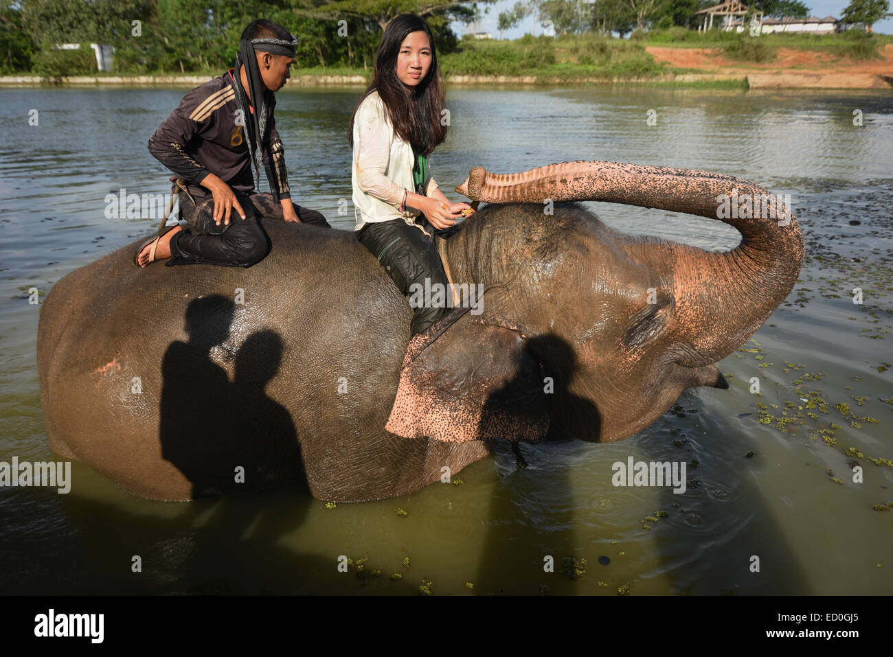 Una donna volontario cavalcate un elefante con un elefante keeper dopo un bagno di sessione in modo Kambas Parco Nazionale. Foto Stock