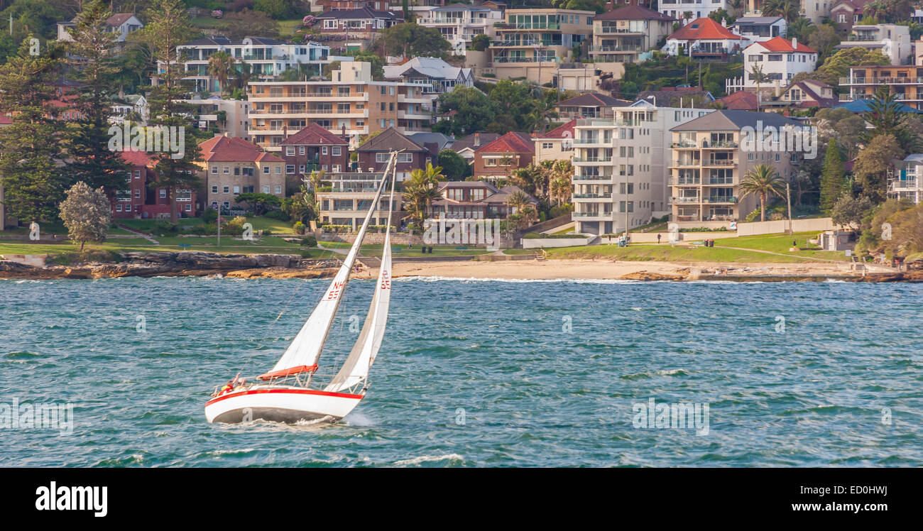 Barca a vela sul Porto di Sydney yacht su acqua in porto Foto Stock