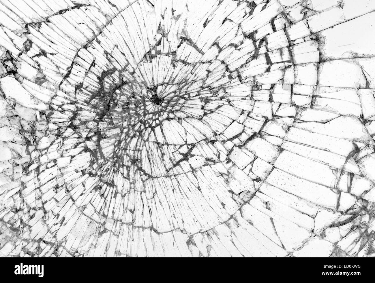 Vetro rotto, sfondo bianco, il concetto di violenza Foto Stock