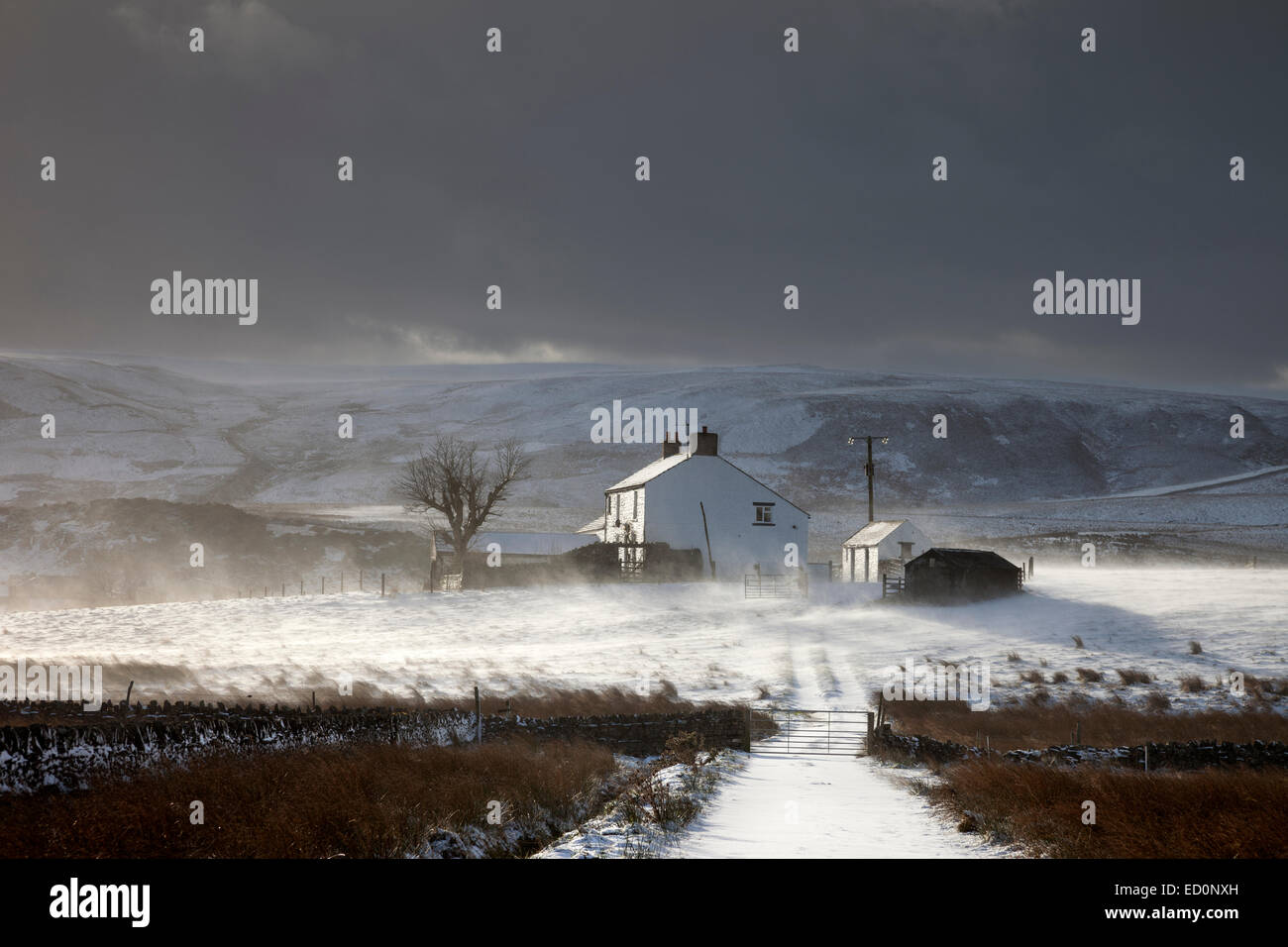 Birk Rigg fattoria con vento neve soffiata illuminato da un basso sole invernale, foresta di Teesdale, North Pennines, County Durham Regno Unito Foto Stock