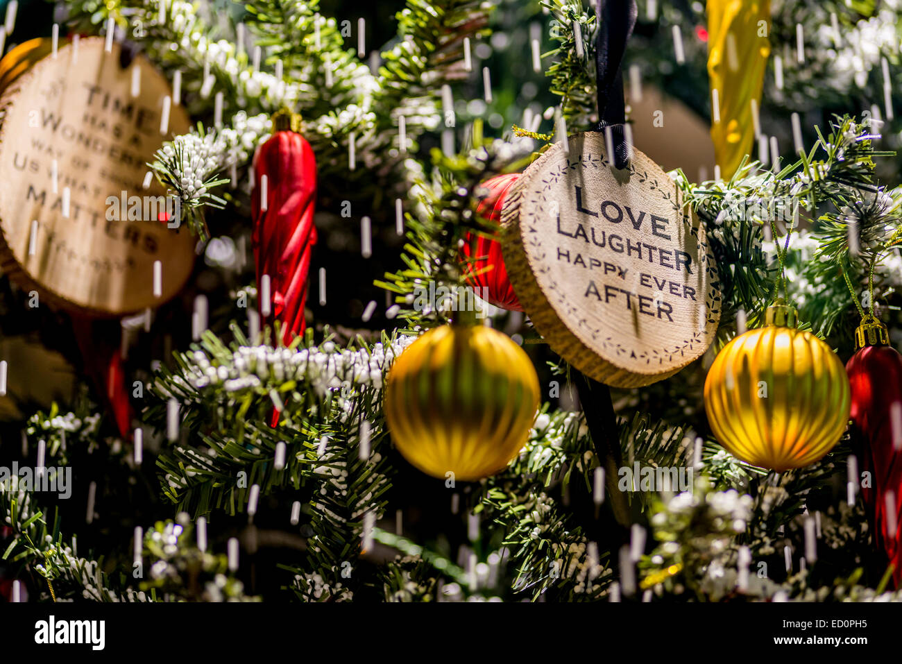 Auguri di Natale su di un albero di natale. Auguro a voi tutti buon Natale e Felice Anno Nuovo. Foto Stock