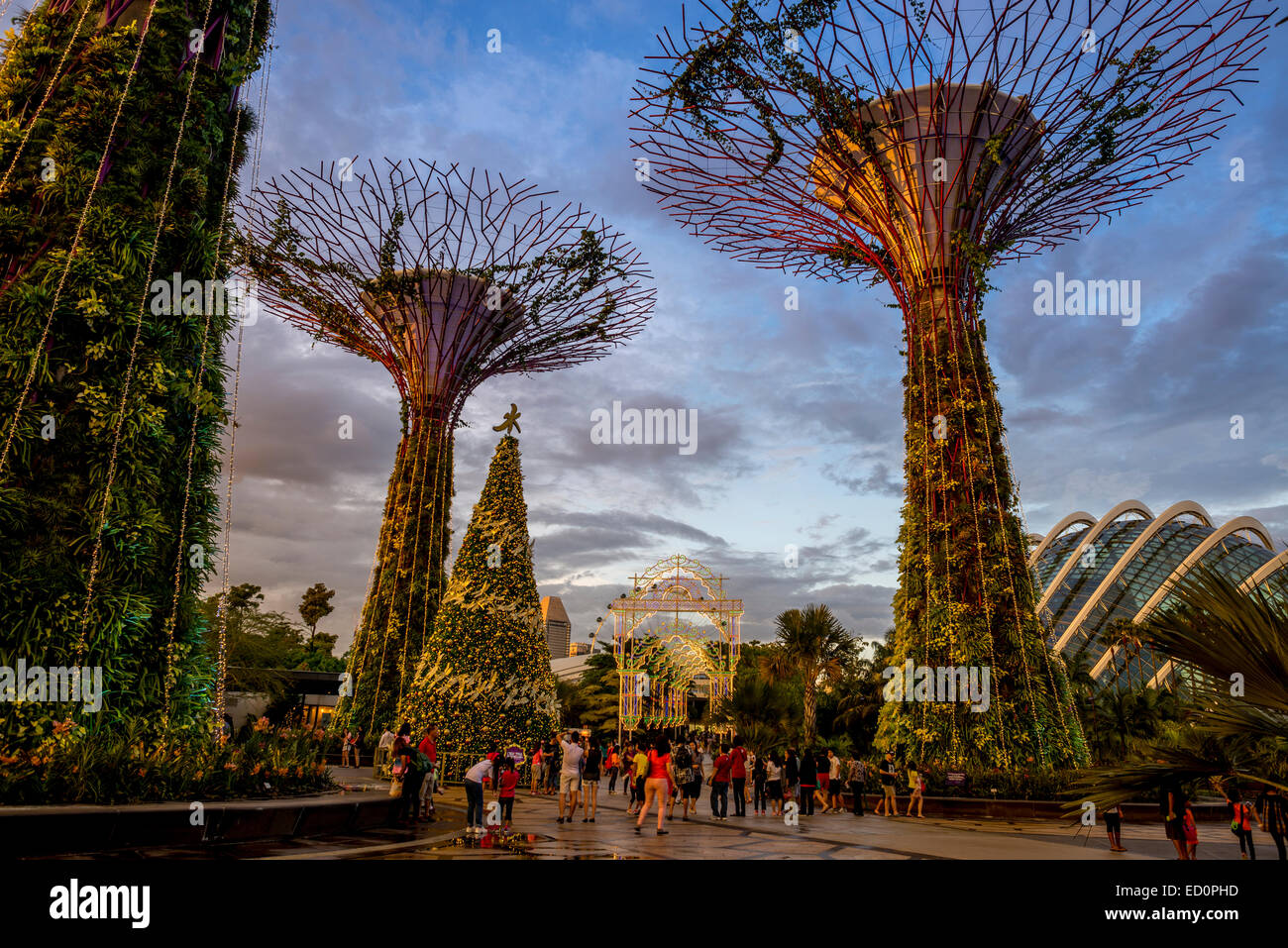 Albero di natale di giardini dalla baia, Singapore con vista della Cupola di fiore visto all'indietro. Foto Stock