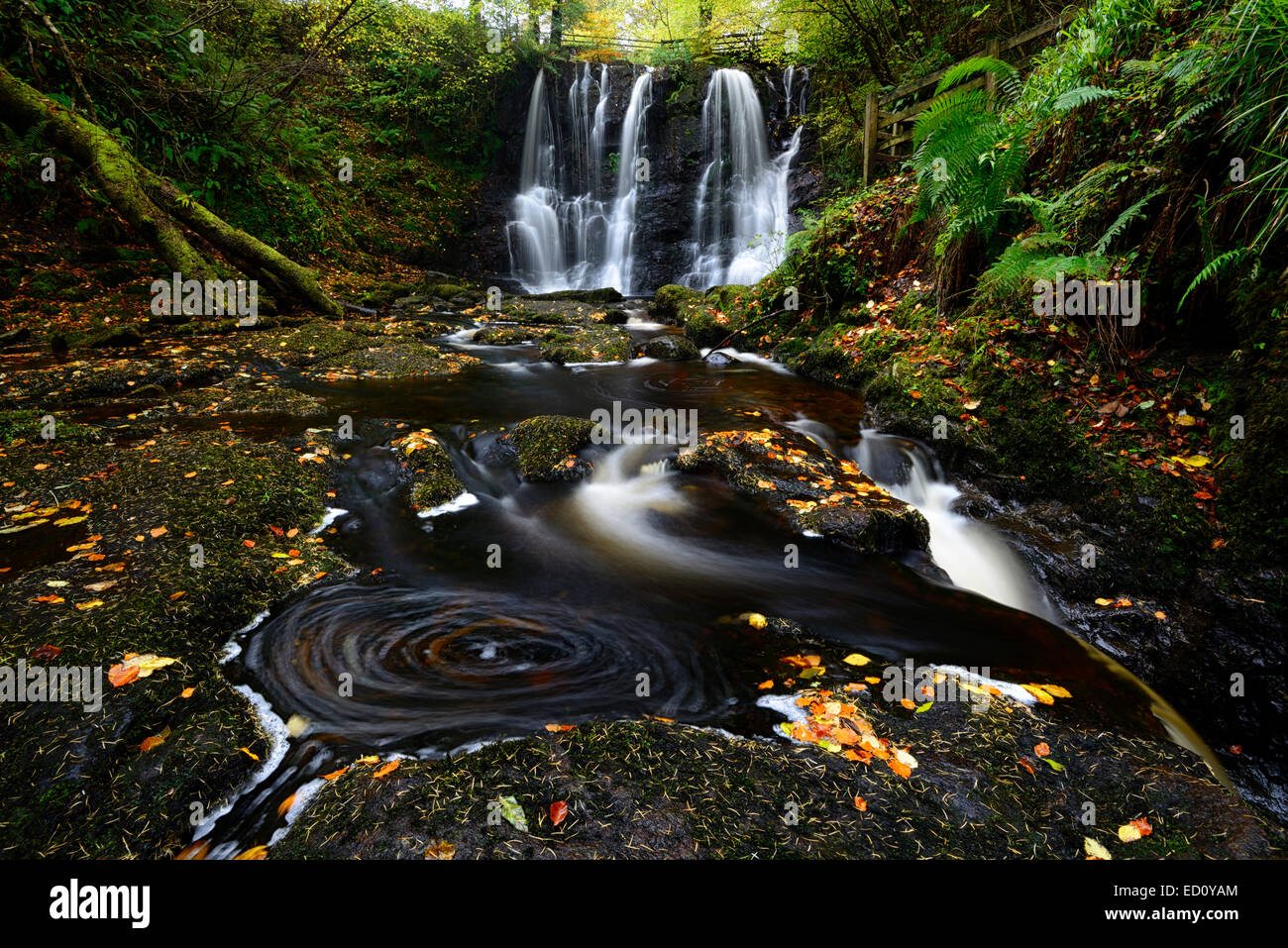 Ess-na-crub cascata cade autunno autunnale di inver fiume Glenariff Forest Park nella contea di Antrim Irlanda del Nord RM glens di Antrim Foto Stock