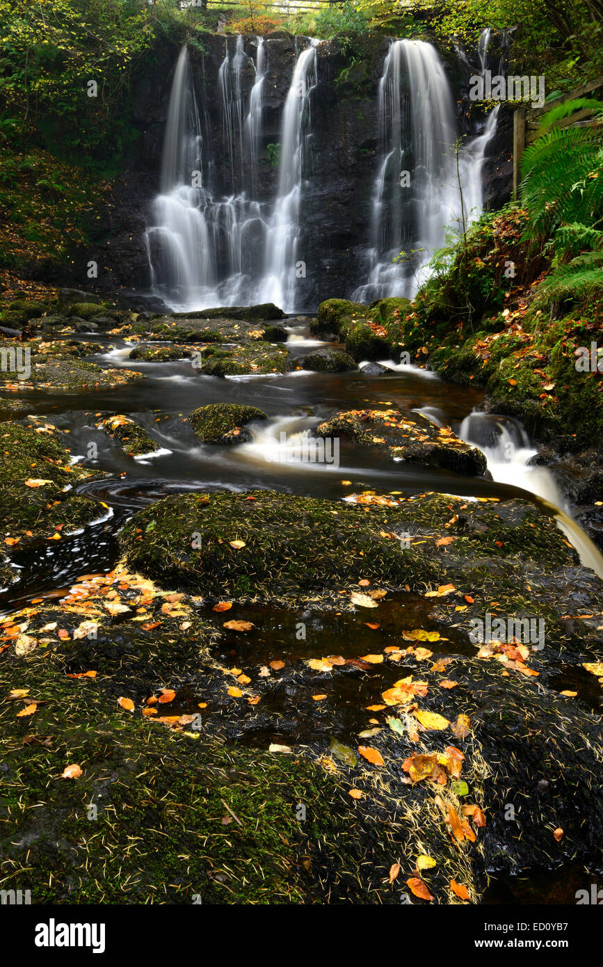 Ess-na-crub cascata cade autunno autunnale di inver fiume Glenariff Forest Park nella contea di Antrim Irlanda del Nord RM glens di Antrim Foto Stock