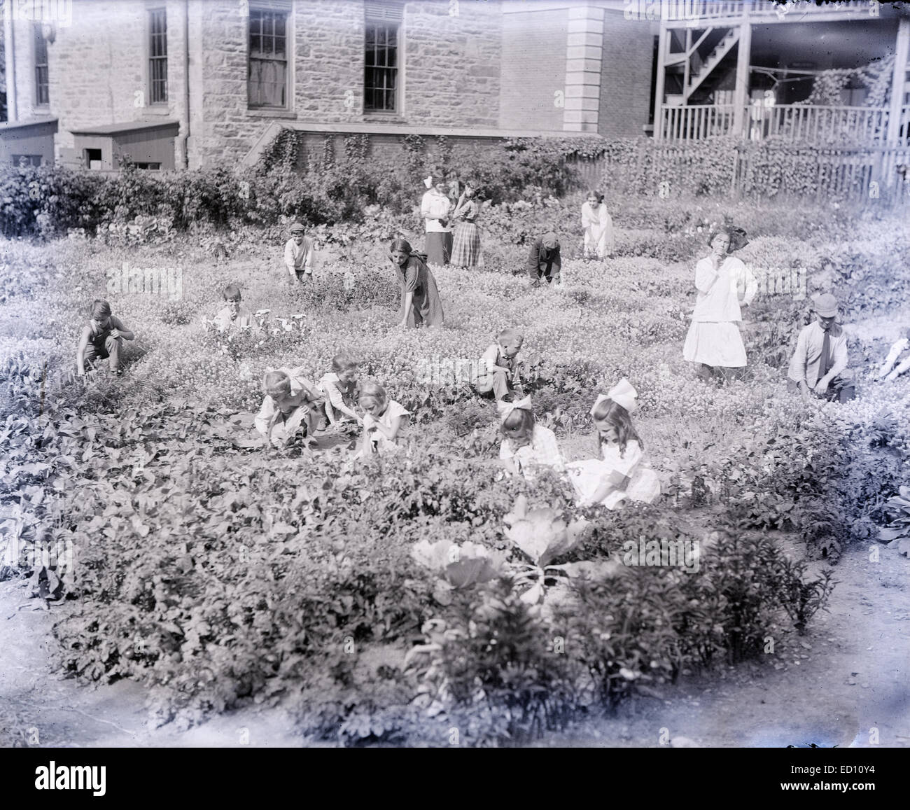 Antico risalente al 1910 fotografia, scuola i bambini che lavorano nel loro vegetale e giardini di fiori. Foto Stock