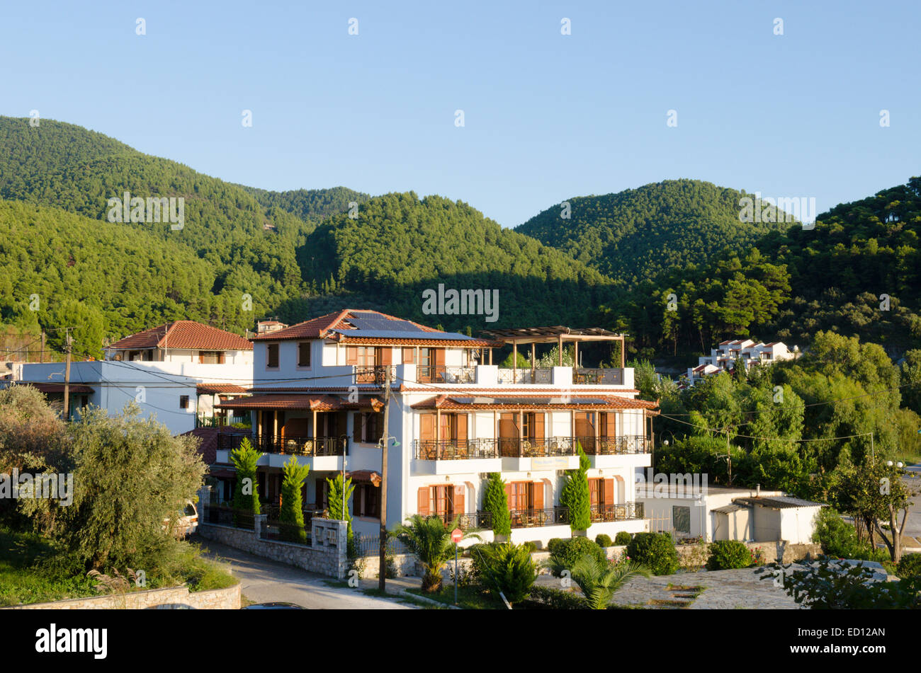 Blocchi di alloggio nella località di Elios, Skopelos, Grecia. Ottobre. Circondato da pini di Aleppo [Pinus halepensis] Foto Stock