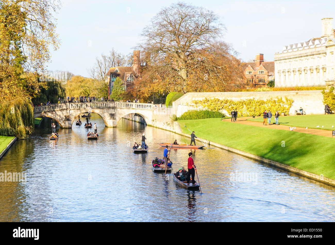 Punting in autunno lungo il fiume Cam, Cambridge Cambridgeshire England Regno Unito Regno Unito Foto Stock