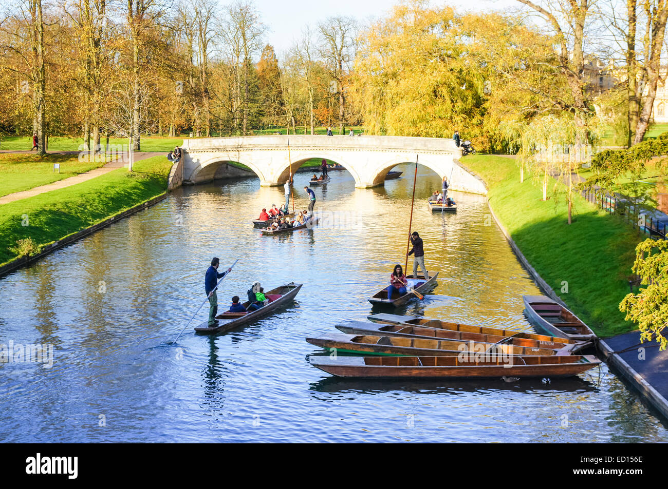 Punting in autunno lungo il fiume Cam, Cambridge Cambridgeshire England Regno Unito Regno Unito Foto Stock