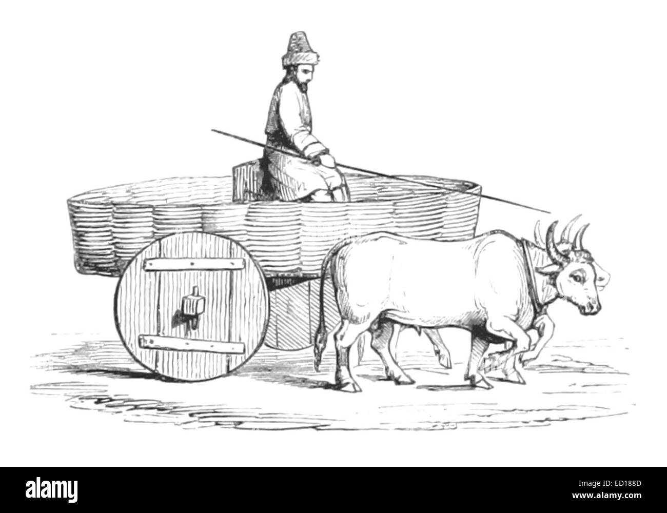 Olifante(1856) p107 Abkhasian Buffalo-Cart Foto Stock