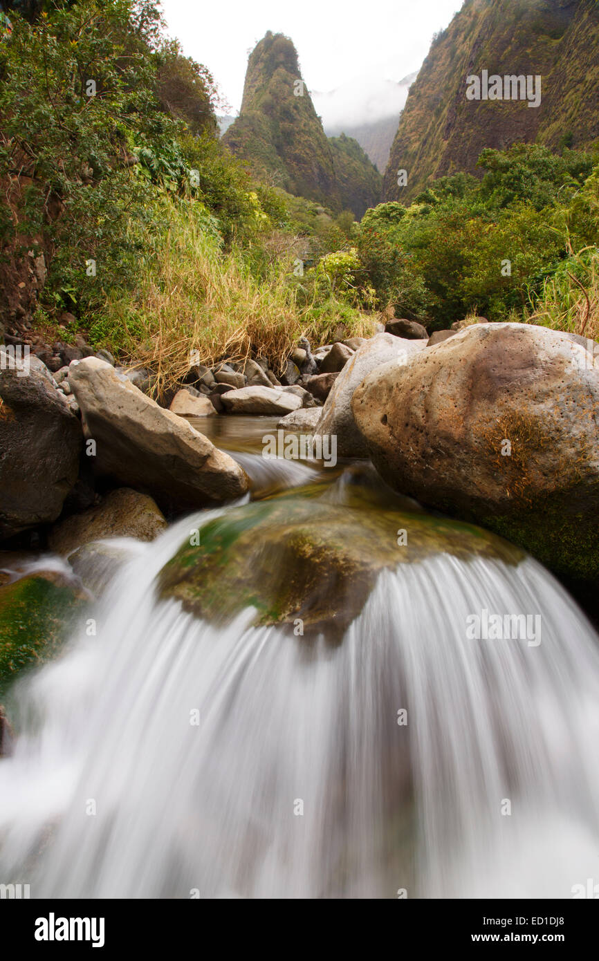 Ciao ago e Iao Valley State monumento, Maui, Hawaii. Foto Stock