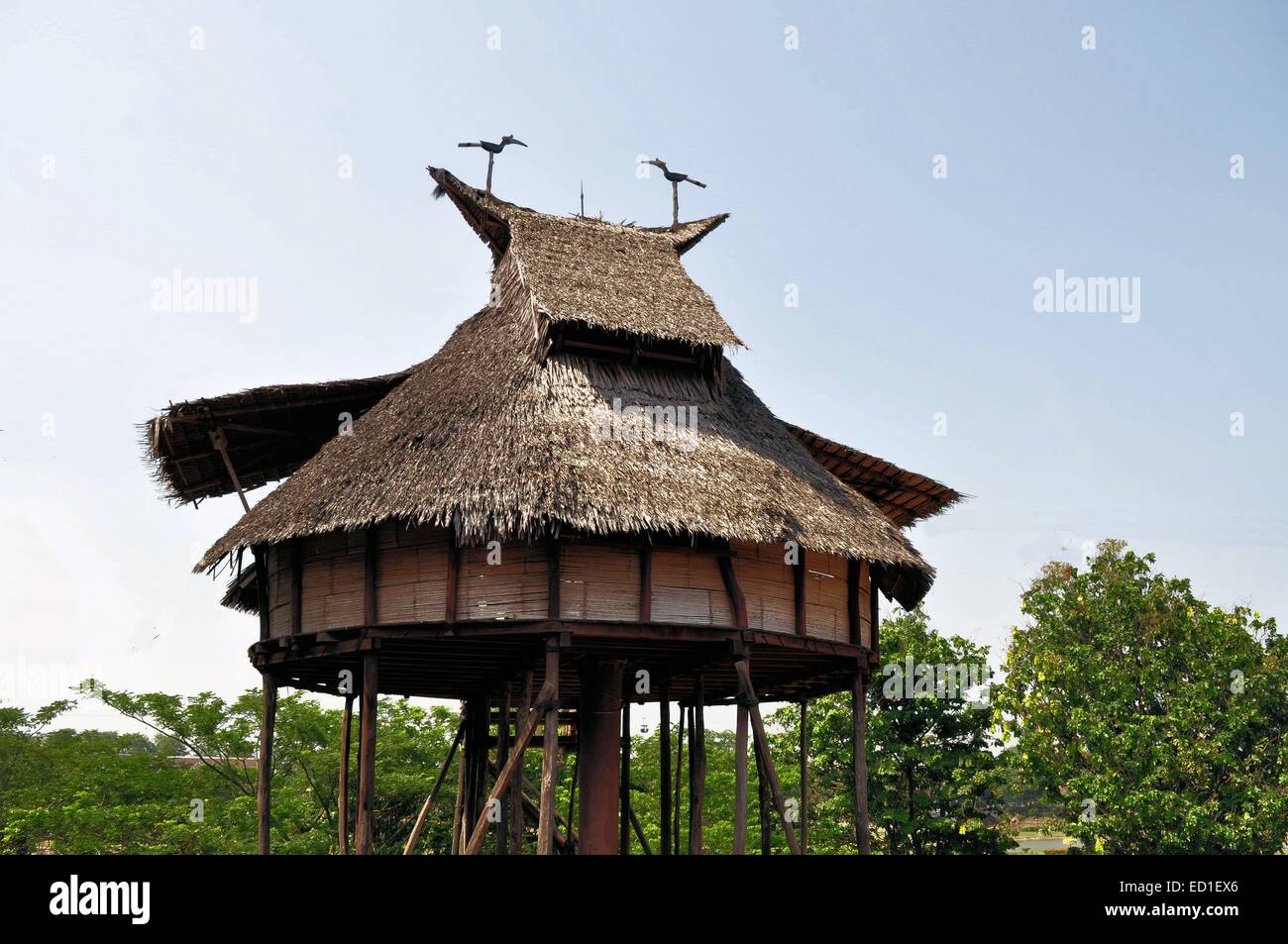 Casa Tradizionale su West Kalimantan, Indonesia Foto Stock