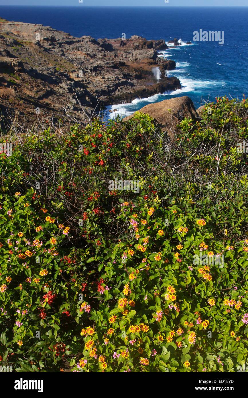 Costa lungo l'estremità nord di Maui, Hawaii. Foto Stock