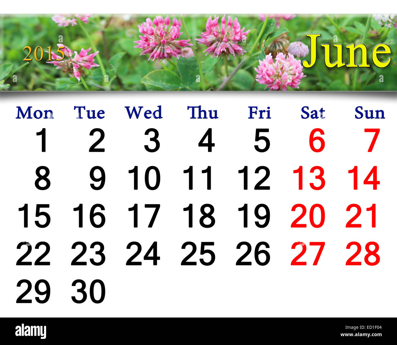 Calendario per il mese di giugno del 2015 con il chiodo di garofano Foto Stock